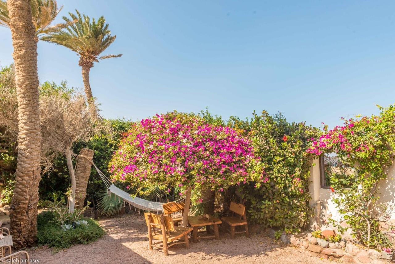 Beit Theresa Dahab Extérieur photo