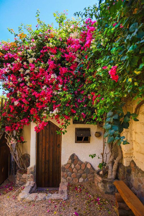 Beit Theresa Dahab Extérieur photo