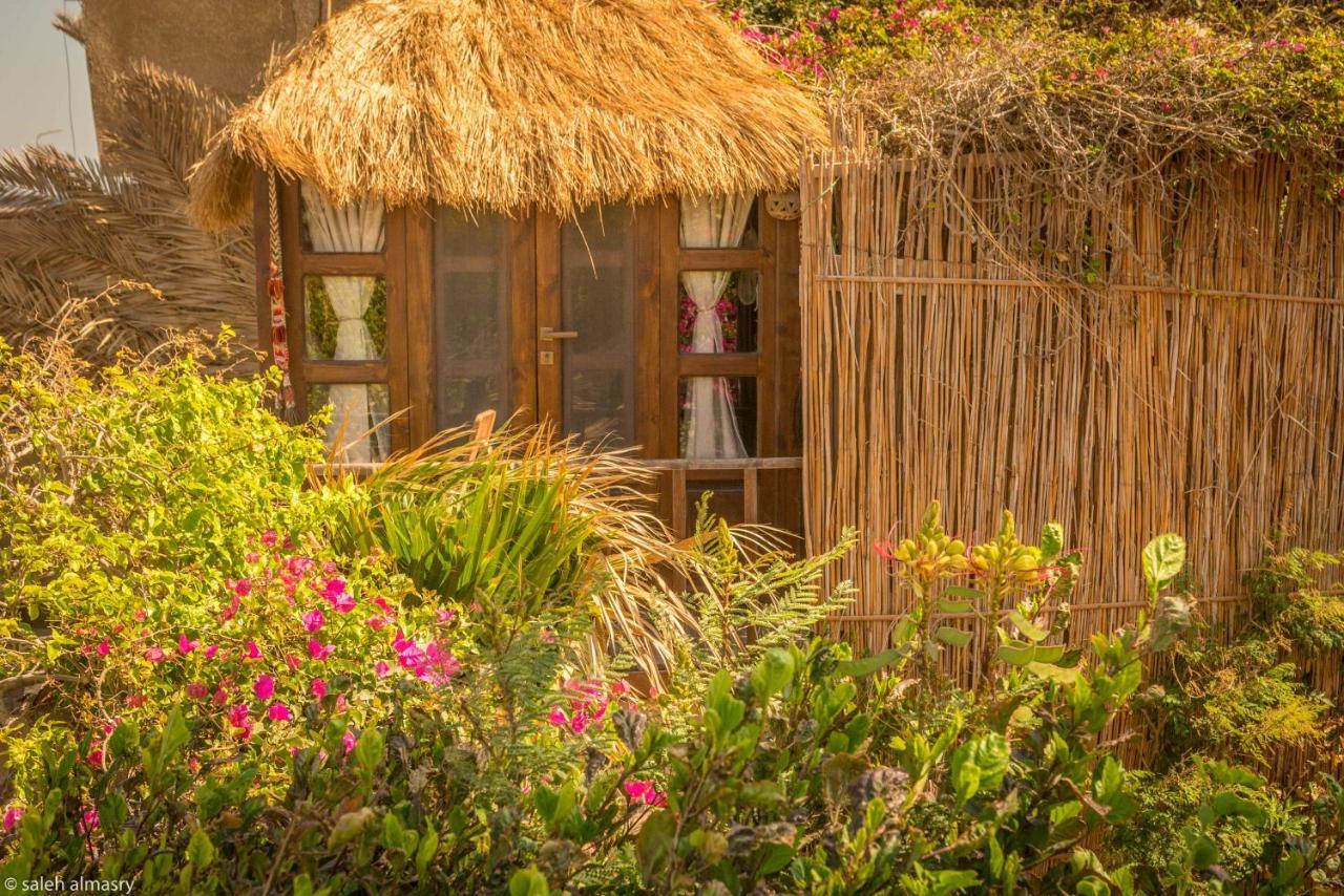 Beit Theresa Dahab Extérieur photo